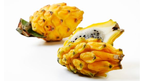 Yellow dragon fruit nutrition